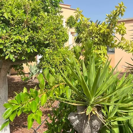 Ocean View In Orlando אדחה