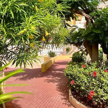 Ocean View In Orlando דירה *