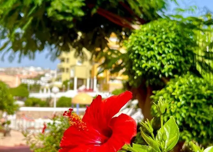 Ocean View In Orlando Apartmán *