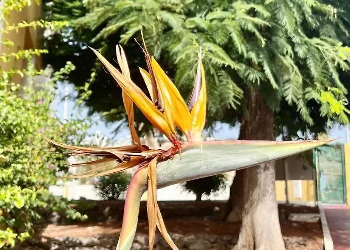 Ocean View In Orlando Apartmán