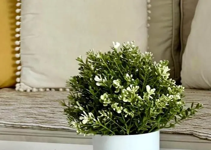 Ocean View In Orlando *